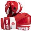 Boxing gloves “WAKO NTB Marks” (Farba Red, Váha rukavíc 10 oz)