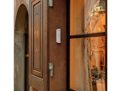 AJAX Curtain Outdoor Mini 2