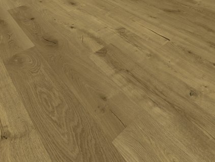 neoera dub svycarsky