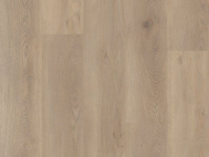 coretec meadows 21992 vv427 00807 main