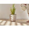 coretec naturals 1200 Forest 21989 vv427 00806 room