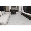 2971 2 8 dub dansky 1920