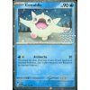 Cetoddle Holiday Promo 2024