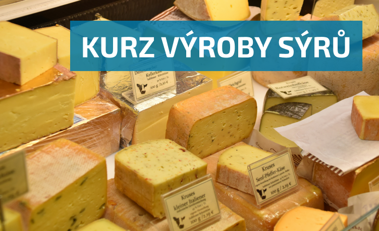 Kurz výroby sýrů