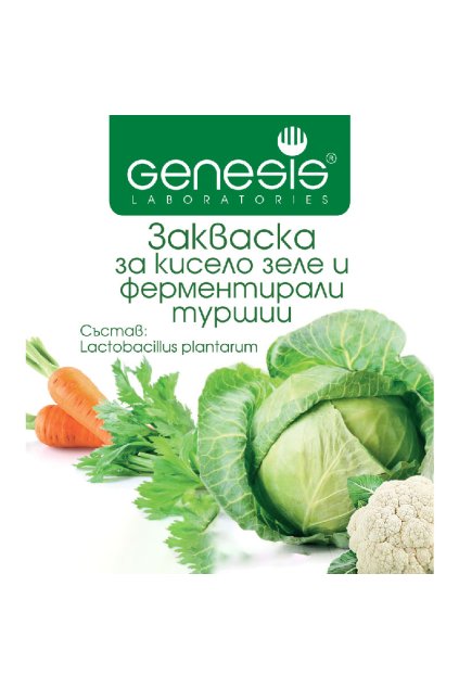 kultura kvašená zelenina