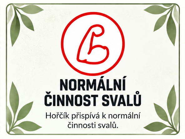 Horčík přispívá k normální činnosti svalů