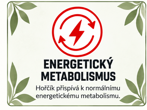Hořčík přispívá k normálnímu energetickému metabolismu