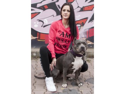 Mikina Am Bully Freak