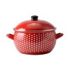 Smaltovaný hrniec s červenými bodkami 24 cm + pokrievka