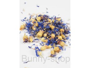chrpa (5)