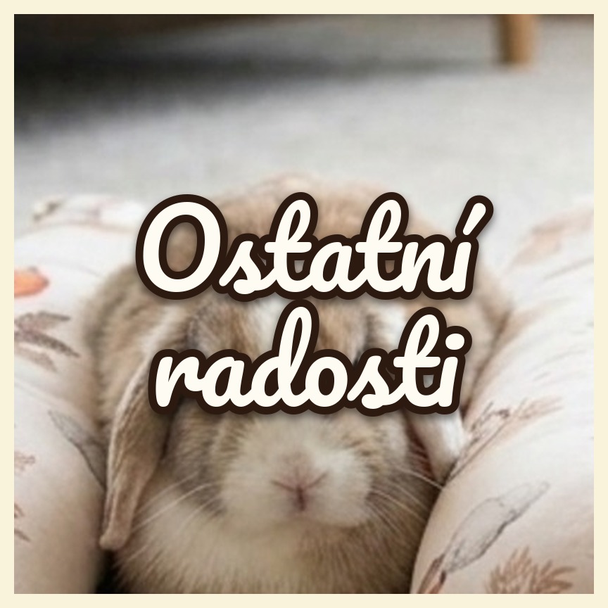 Ostatní radosti