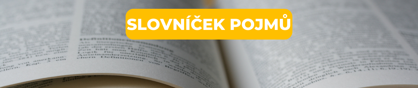 2 Slovníček pojmů