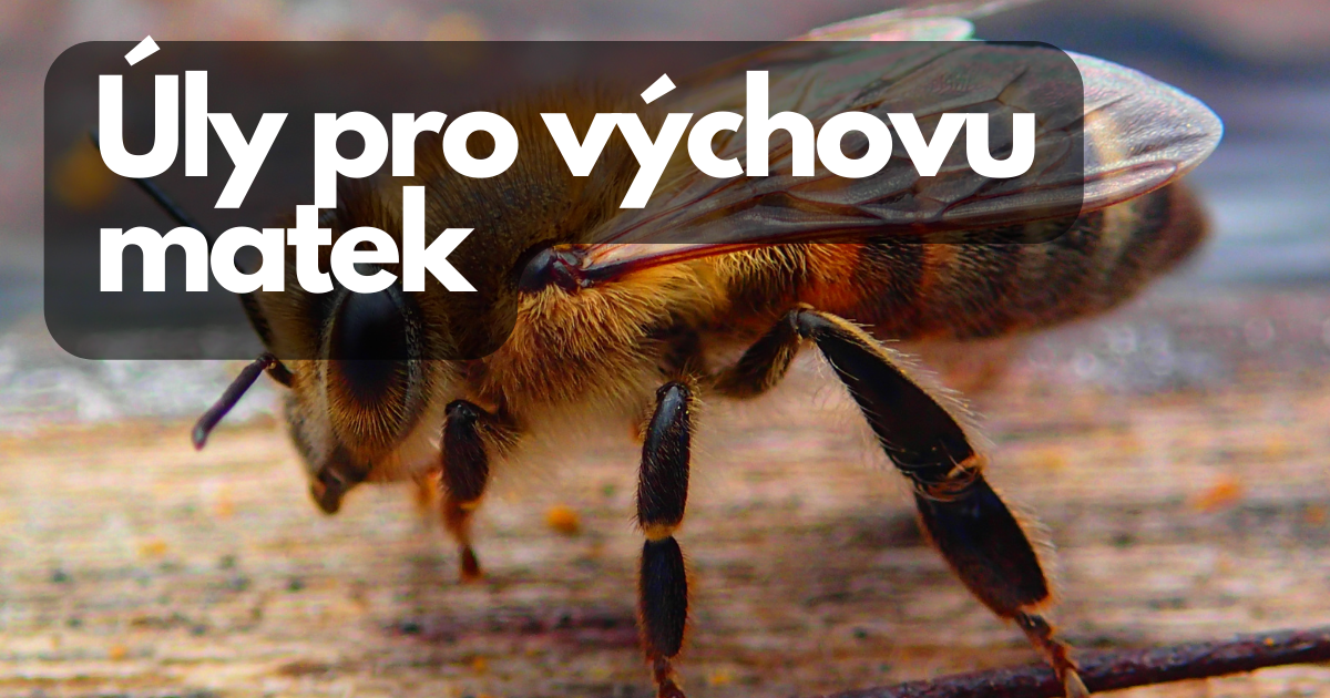 Úly pro výchovu matek