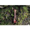 Kupilka spork165 R vibe spring 1 web BUSHCRAFTshop CZ 002
