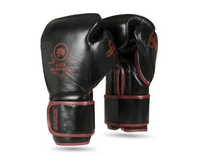 Vícevrstvé boxerské rukavice DBX BUSHIDO ProFighter Bordeaux