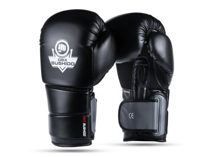 Boxerské rukavice DBX BUSHIDO Eclipse (B-2v9)
