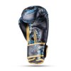 Boxerské rukavice DBX BUSHIDO Kids Dragon (ARB-Kids-v5) 6oz