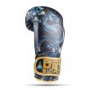 Boxerské rukavice DBX BUSHIDO Kids Dragon (ARB-Kids-v5) 6oz