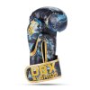 Boxerské rukavice DBX BUSHIDO Kids Dragon (ARB-Kids-v5) 6oz