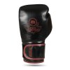 Vícevrstvé boxerské rukavice DBX BUSHIDO ProFighter Bordeaux