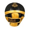 Boxerské lapy DBX BUSHIDO ProFighter