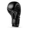 Boxerské rukavice DBX BUSHIDO Warrior BLACK (Velikost 10oz.)