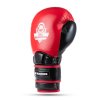 Boxerské rukavice DBX BUSHIDO Warrior RED (Velikost 10oz.)