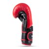 Boxerské rukavice DBX BUSHIDO Warrior RED (Velikost 10oz.)