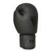 Boxerské rukavice TAVER Black