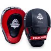 Boxerské lapy DBX BUSHIDO ARF-1101-S