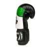 Boxerské rukavice DBX BUSHIDO Verde (B-2v6)