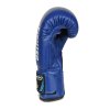 Boxerské rukavice DBX BUSHIDO 4Fighter Blue (ARB-407v4) 6oz