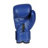 Boxerské rukavice DBX BUSHIDO 4Fighter Blue (ARB-407v4) 6oz