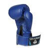 Boxerské rukavice DBX BUSHIDO 4Fighter Blue (ARB-407v4) 6oz