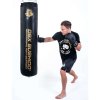 SBRX 130/30cm 60kg boxovací pytel DBX BUSHIDO zlatý
