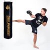 SBRX 130/30cm 60kg boxovací pytel DBX BUSHIDO zlatý