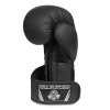 Boxerské rukavice DBX BUSHIDO Black Master (B-2v12)