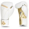 Boxerské rukavice DBX BUSHIDO Hammer White (B-2v19)