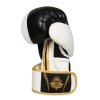 Boxerské rukavice DBX BUSHIDO Undefeated (B-2v16)