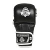 MMA sparingové rukavice DBX BUSHIDO Phantom White (E1v9)