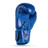 Boxerské rukavice DBX BUSHIDO Turnajové Blue (ARB-407-Blue)