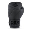 Boxerské rukavice DBX BUSHIDO Hammer-Black (B-2v15B)
