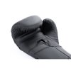 Boxerské rukavice DBX BUSHIDO Hammer-Black (B-2v15B)
