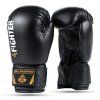 Boxerské rukavice pro děti DBX BUSHIDO 4Fighter Black (ARB-407v5) 6oz