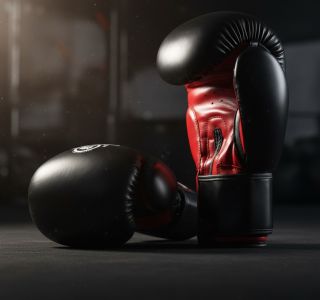 Exkluzivně u nás: DBX BUSHIDO Classic Red (ARB-407) — styl, výkon, kvalita. 🥊 Odolný materiál • stabilní zápěstí • ideální...