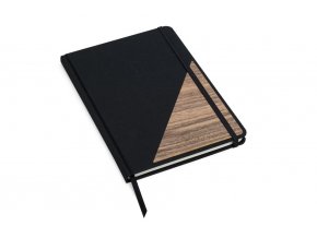 apis notebook 4