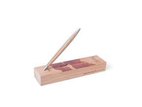 05 Cambiano Paradiso Dante