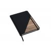 apis notebook 4