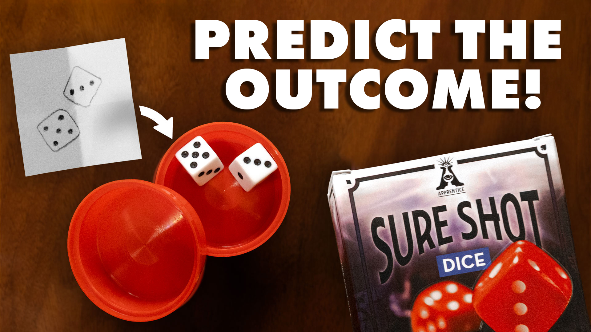 Sure Shot Dice by Murphy's Magic Review