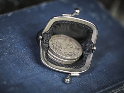 Coin Purse 3.0 by TCC